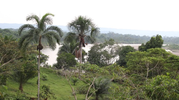 rio Caqueta Guayuyaco